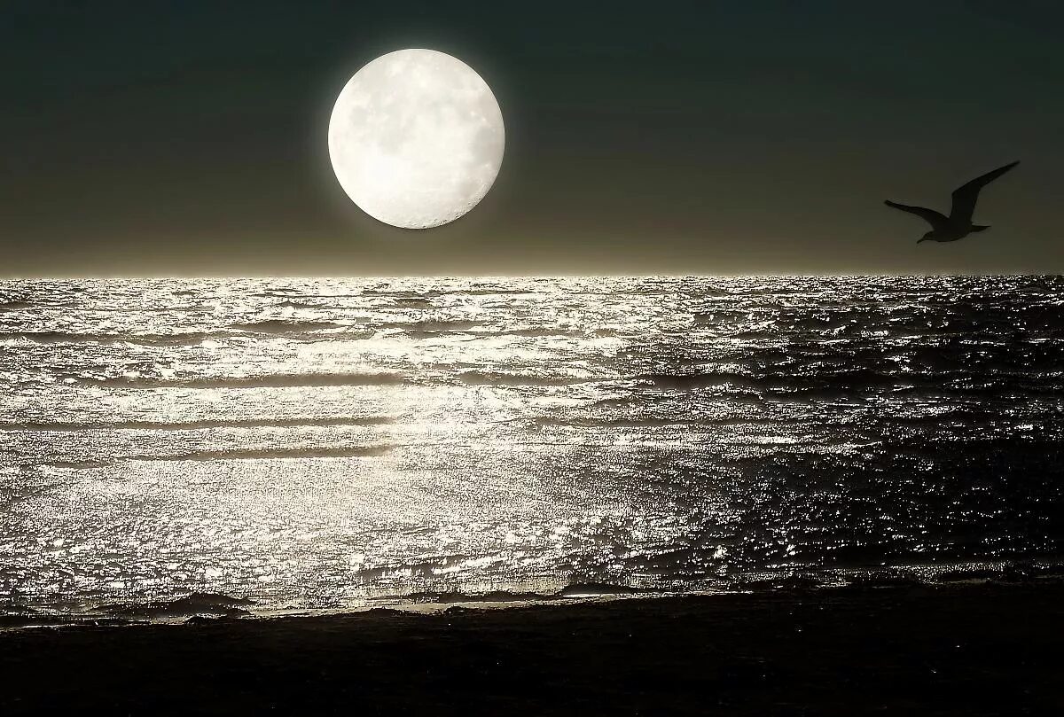 Луна вдали. Ночное море. Ночь в море. Луна и море. Лунная ночь на море.