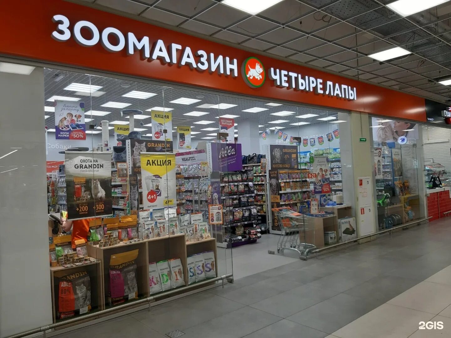 Четыре лапы иваново каталог. Магазин 4 лапы балашиха. Магазин 4 лапы иваново. Четыре лапы иваново каталог. 4 лапы интернет-магазин.