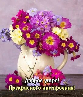 Доброе утро флоксы