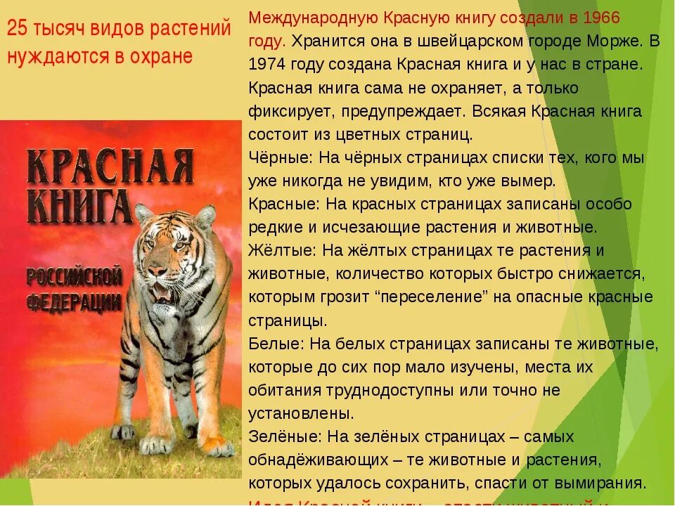 Международная красная книга животных. Животные из красной книги рассказ. Красная книга России. Животные. Сообщение о красной книге. Доклад о красной книге 2 класс