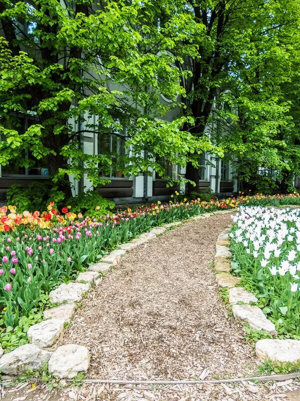 Аптекарский сад в москве. Сады подмосковья. Сады москвы интернет магазин. Огород ресторан москва. Сады москвы интернет магазин.