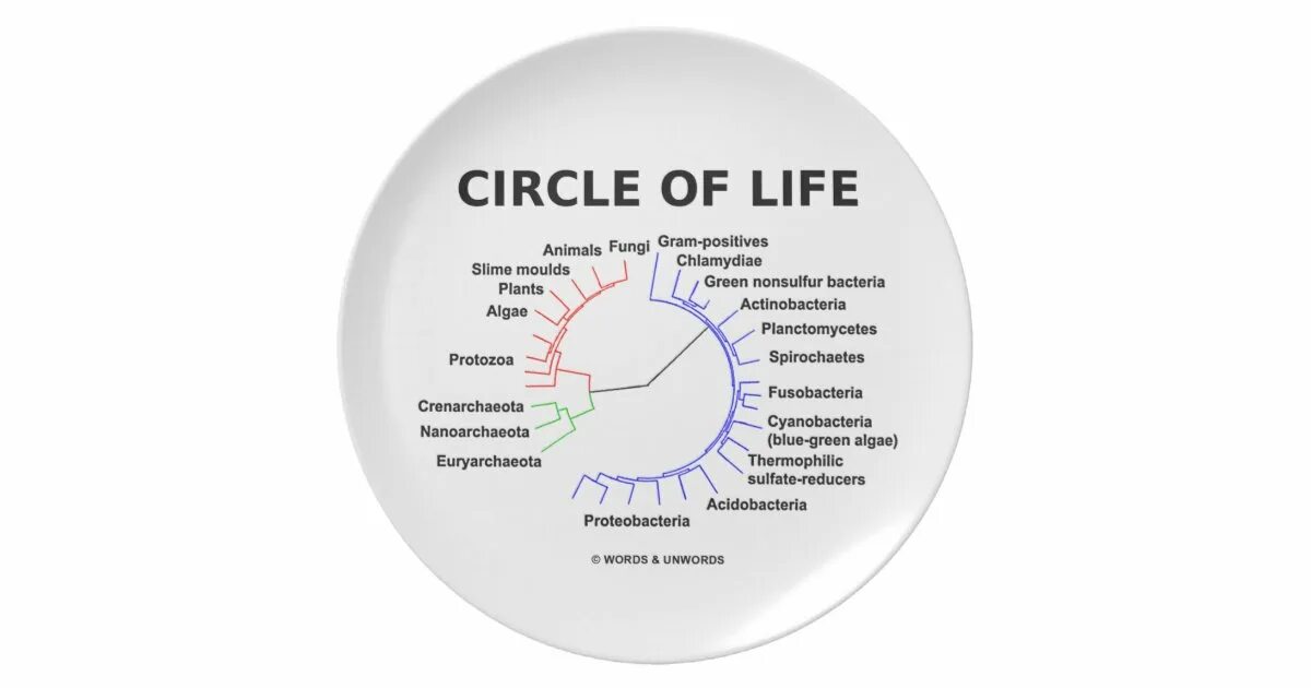 Life is circle