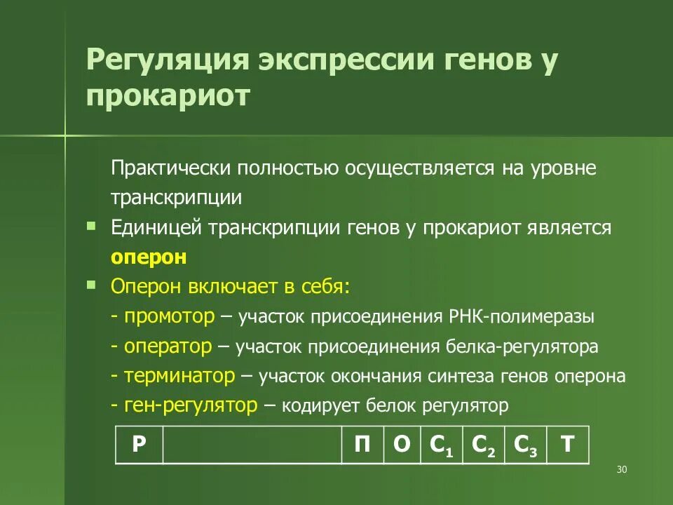 Экспрессия прокариот