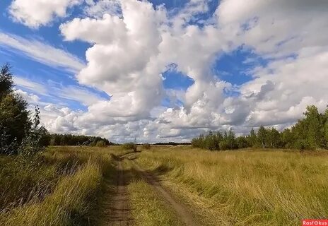 Необозримо широка