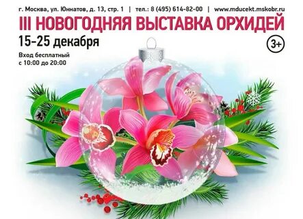 Выставка орхидей 2024 год
