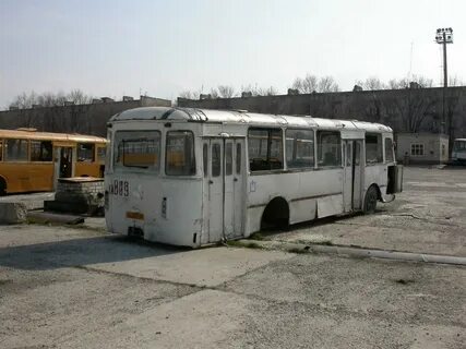Черникова автобусы