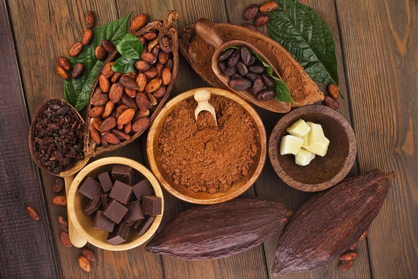 Какао Бобы. Какао продукты. Какао шоколадные Бобы. Зерна шоколадного дерева.