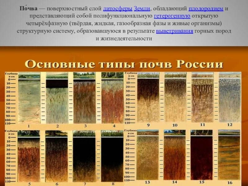 Основные типы почвы России 10. Степень плодородности почвы. Виды плодородных почв. Типы почв по плодородности. Порядок почв с севера на юг