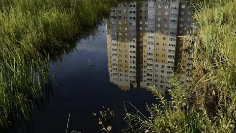 Погода каменка спб