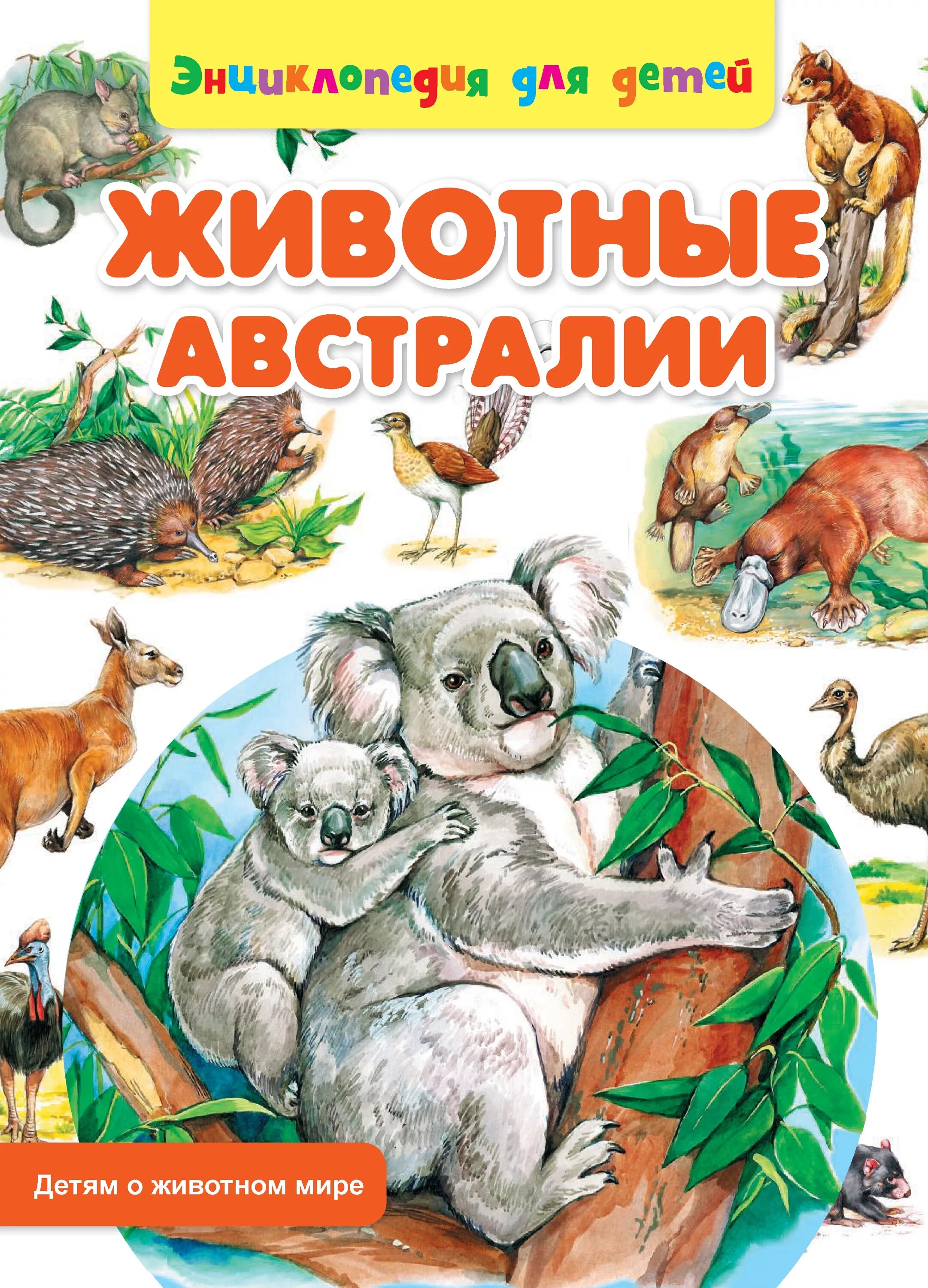 Животные и их мир книга. Животные австралии энциклопедия для детей. книга животные австралии. обложка книги о животных. про зверей книга.