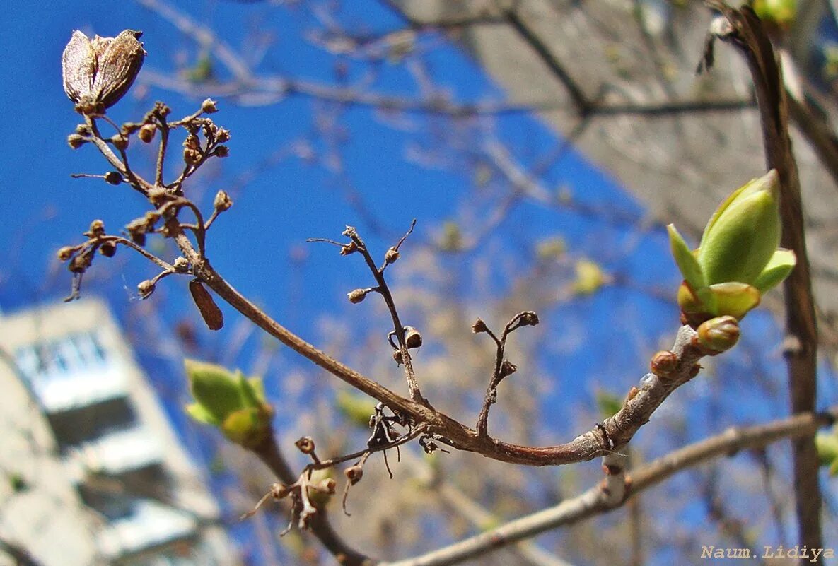 гроза в подмосковье. ветре 22. ветре 22. гроза в городе. ветре 22.
