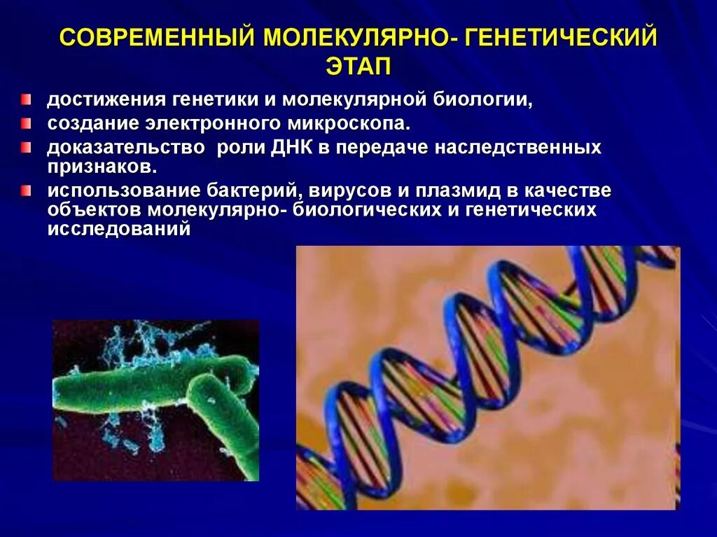 Функции биологических молекул. Молекулярно-генетический период микробиологии. Современный молекулярно-генетический этап. Молекулярно-генетические методы исследования. Современные молекулярно генетические методы.