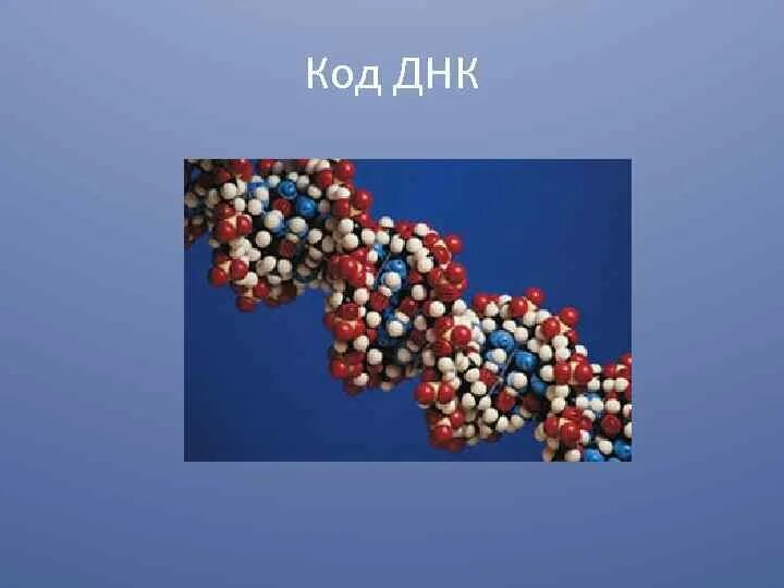 Белковый код. Код ДНК. ДНК код человека. Код белков. Как выглядит код ДНК человека.