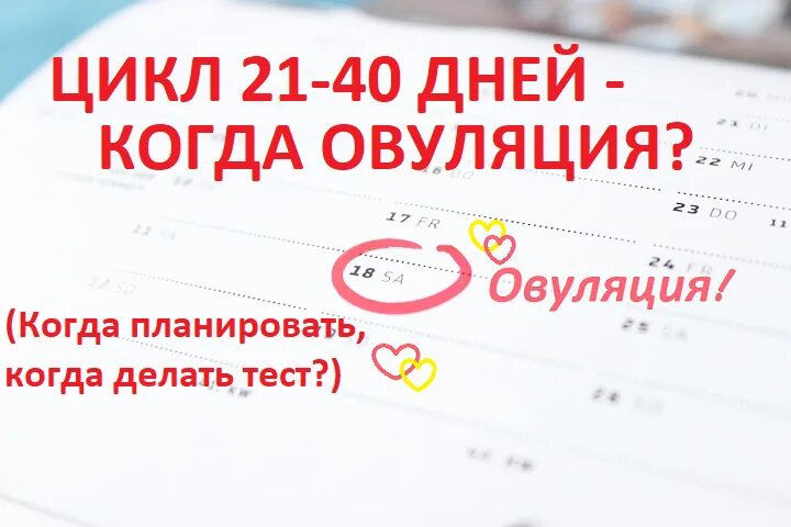 Месячные на 26 день. Дни овуляции. Цикл 26 дней когда овуляция. Как рассчитать овуляцию. Овуляция при цикле 21 день.