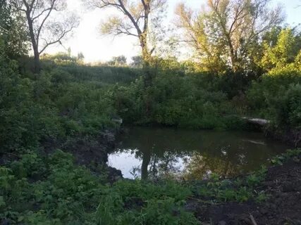 Погода землянск воронежская область