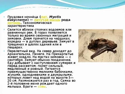Гора родила мышь