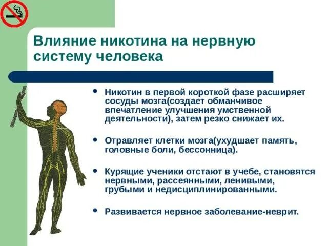 Благотворно влияет на нервную систему. Влияние алкоголя и курения на нервную систему. влияние никотина на нервную систему человека. никотин влияет на нервную систему человека. н еотин влияние на нервную систему.