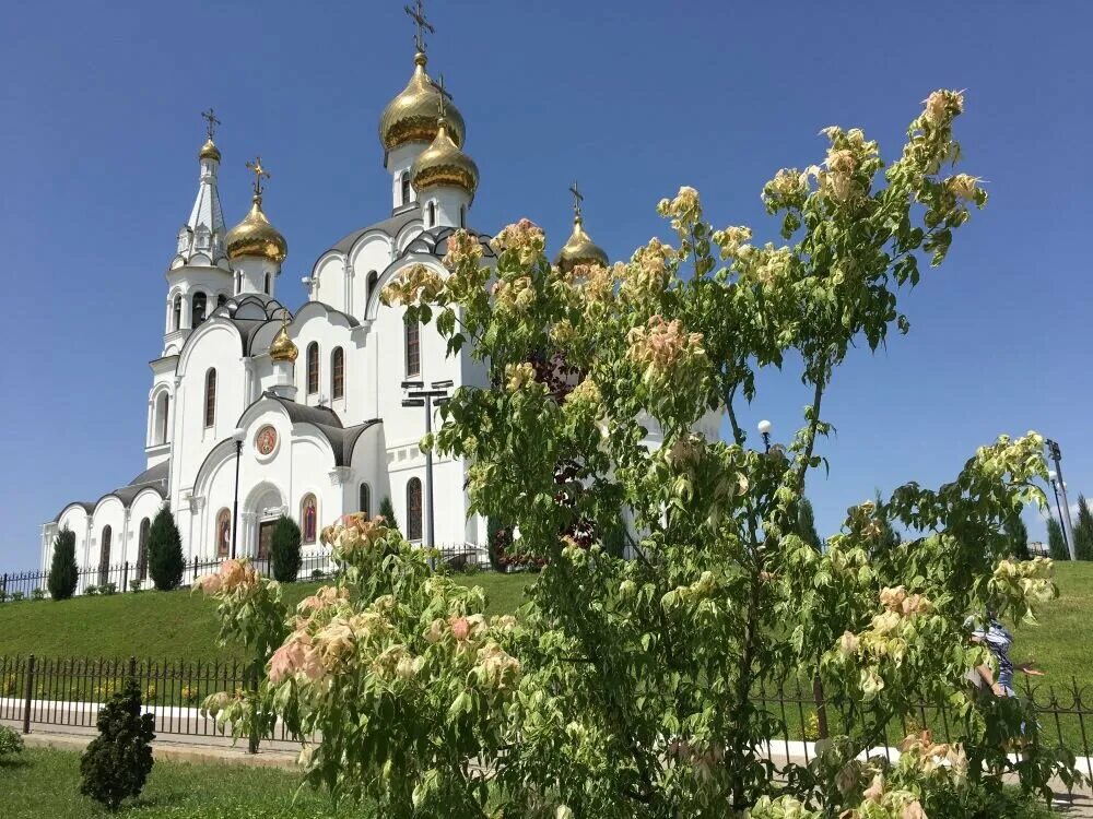 Св дон ростов. Свято-Иверский женский монастырь Ростов-на-Дону. Иверский Ростовский монастырь. Монастырь Ростов на Дону Иверский женский Ростов-на-Дону. Женский монастырь в Ростове-на-Дону на Северном.