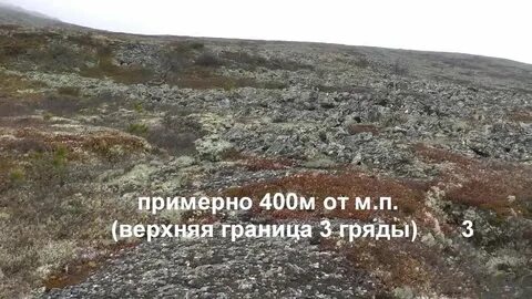 Погода на гряды