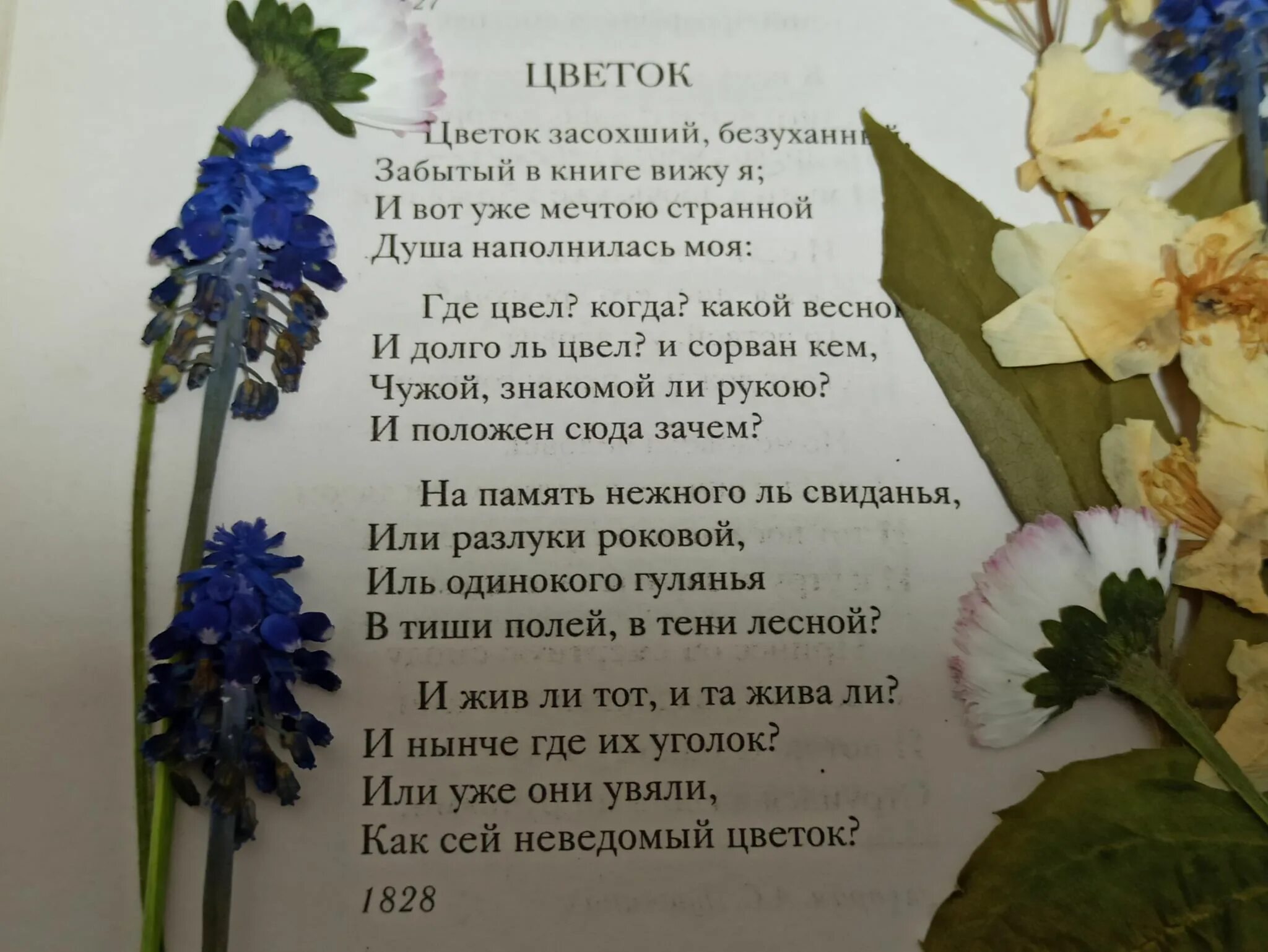 Цветов стихотворение а с пушкин. Пушкин цветок стихотворение. Стихотворение о цветах. Стихи о цветах русских поэтов. Пушкин стихи о цветах.