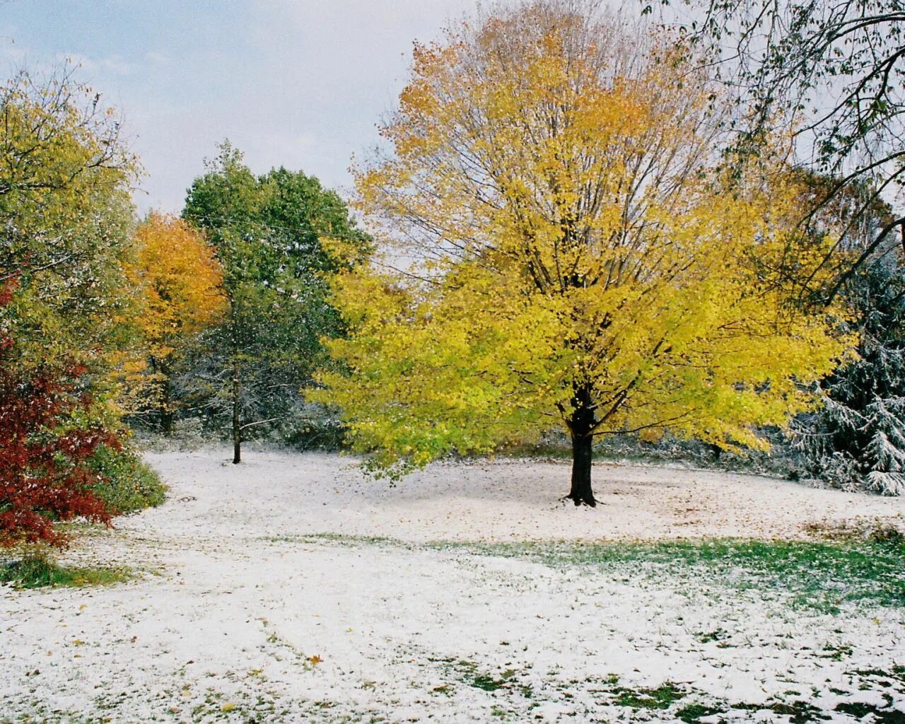 Ноябрь природа. Ноябрь стал самым. Стихи про ноябрь. Осень ноябрь. Ноябрь река.