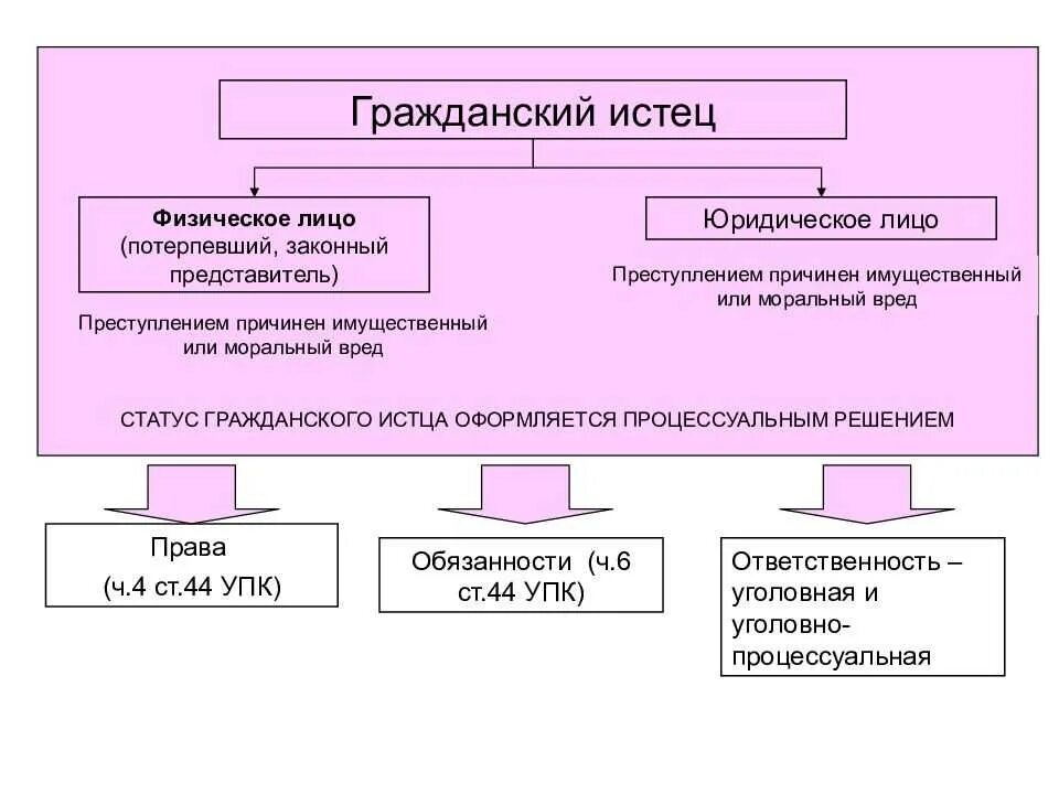 Процессуальное положение представителей