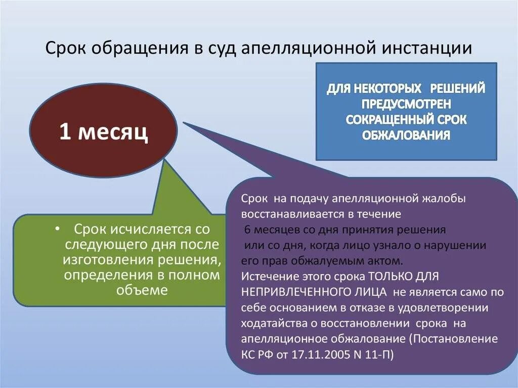 Какой срок обращения. Сроки обращения в суд. сроки обжалования решения суда. производство в суде апелляционной инстанции. порядок обращения в судебные инстанции.