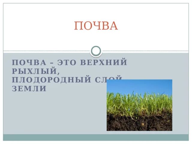 Пословицы о земле кормилице и растениях
