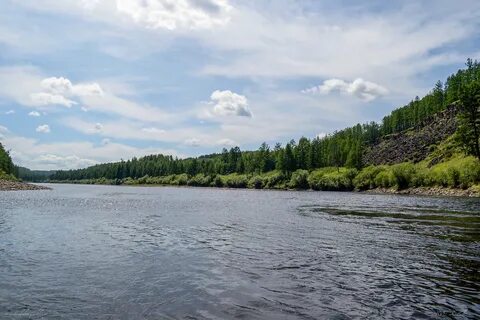 Первый приток