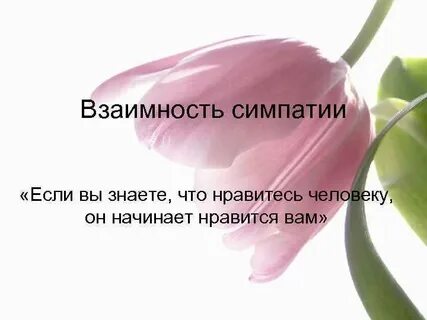Взаимность это