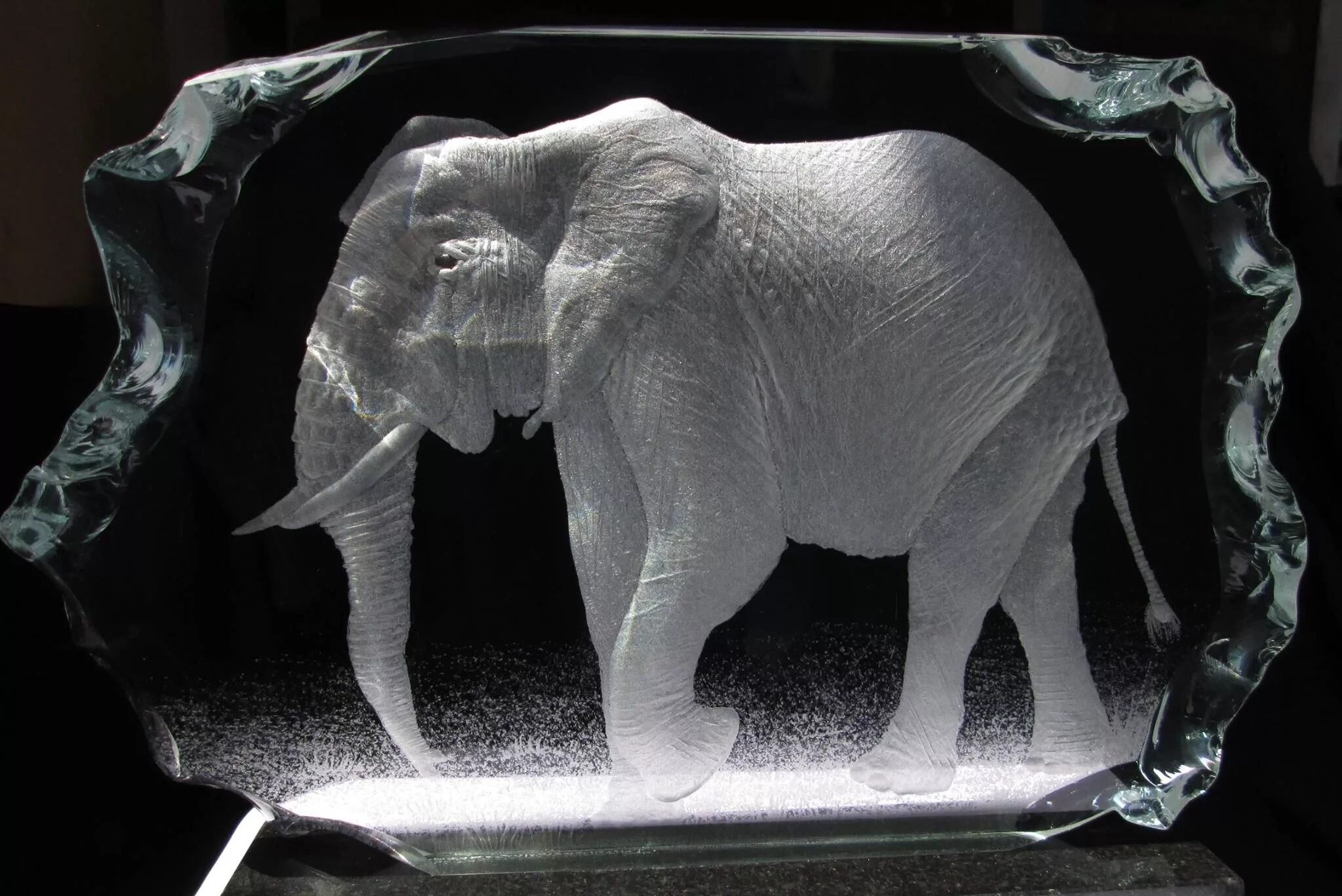 Голова слона барельеф. Маленький слон. Голова слона сбоку. Слон фон. Лазерная гравировка стекла.