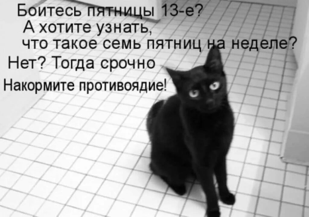 Для всех нас три недели нет