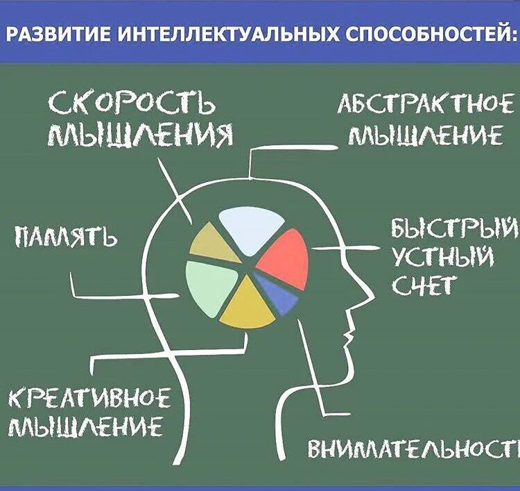 Методика быстрота мышления. Скорость мышления. ментальная арифметика картинки. ментальная арифметика мозг. ментальная математика картинки.
