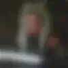 Комбо хомяк на 15 16 августа