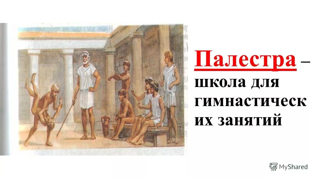 школы и гимнасии в древней греции. афинская школа. где мальчиков обучали гимнастике в афинских. школа полестр гимназий в древней греции. факты о древнегреческой школе.