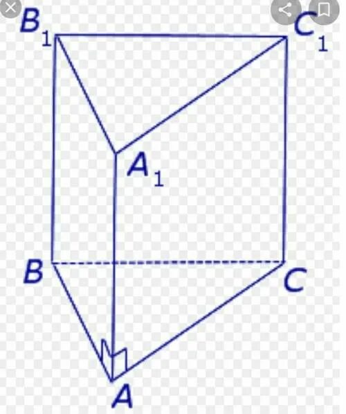 Правильная прямоугольная треугольная Призма. Треугольная Призма с основанием прямоугольного треугольника. Прямая Призма в основании треугольник. Треугольная Призма Призма.
