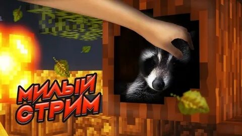 Енот майнкрафт
