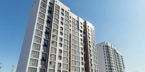 Реновация утренняя