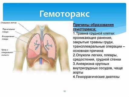 Закрытые полости