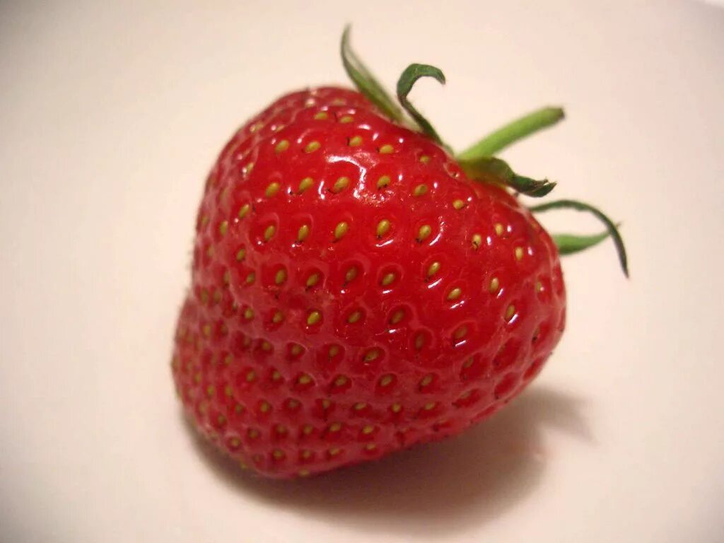 Обои на рабочий стол клубника. Кулпынай магазин. Клубника строуберри. Клубника на белом фоне. Клубника урожайная цгл.