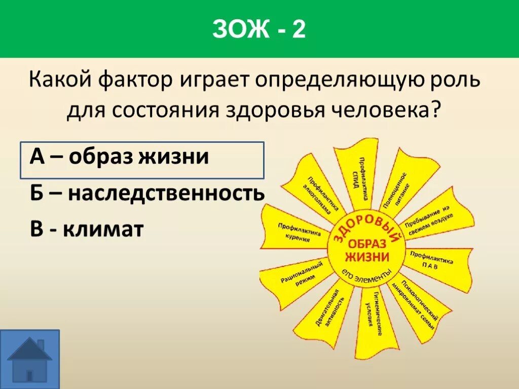 Тест основа здорового образа жизни. Вопросы на тему ЗОЖ. Интересные вопросы для детей по ЗОЖ.