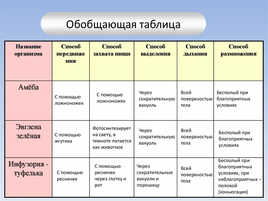 Различие простейших. Сравнительная характеристика простейших. Характеристика простейших таблица. Сравнительная характеристика одноклеточных животных. Характеристика классов простейших.