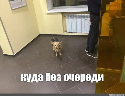 Куда без очереди