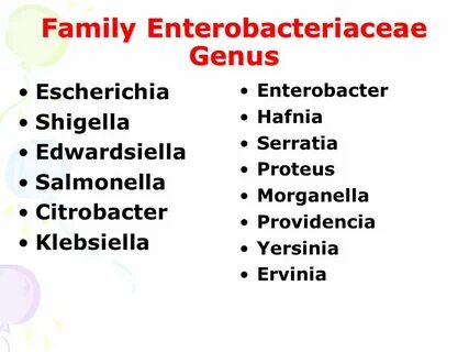 Enterobacteriaceae spp