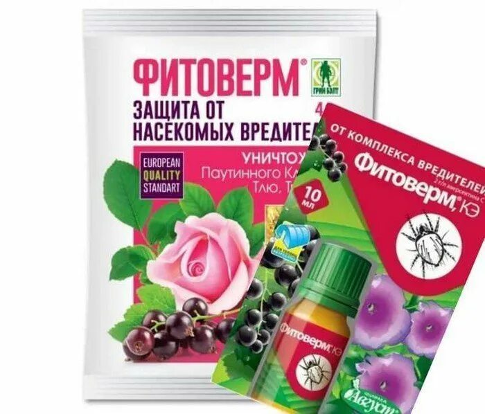 Как развести фитоверм от паутинного клеща. Как развести фитоверм от паутинного клеща