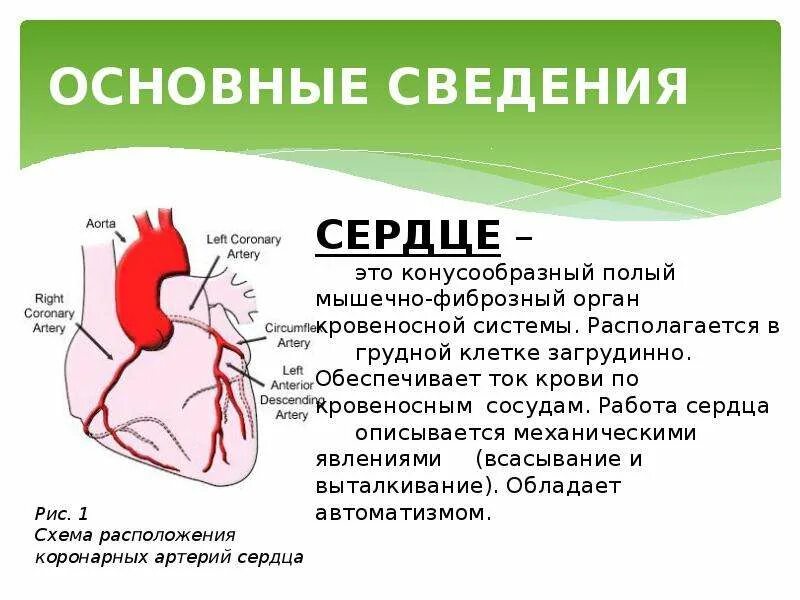 Ишемия означает. Ишемическая болезнь сердца. ИБС заболевания сердца.