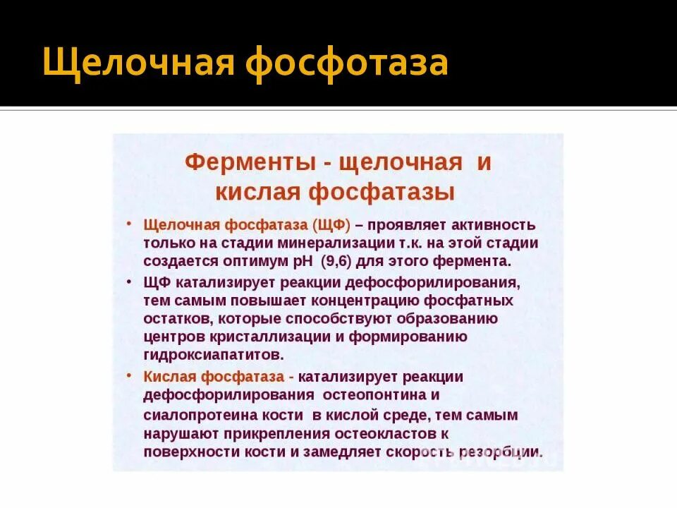 Повышенная щелочная. Кислая и щелочная фосфатаза. Щелочная и кислая фосфатазы. Кислая и щелочная фосфотазы. Щелочная и кислотная фосфатаза.