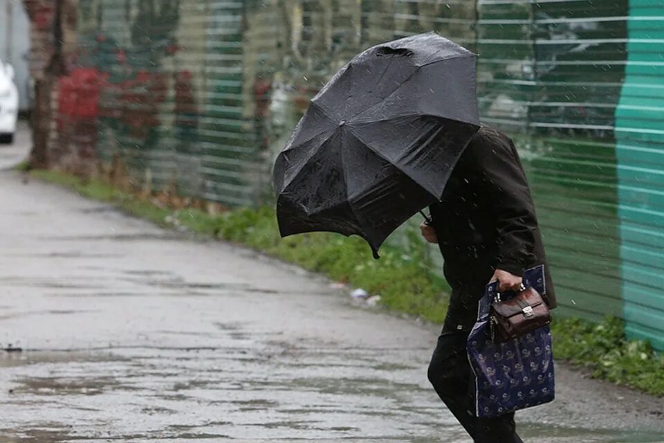 штормовое предупреждение. дождь и ветер. шторы для беседки и веранды. осень дождь. вывернутый зонт от ветра.