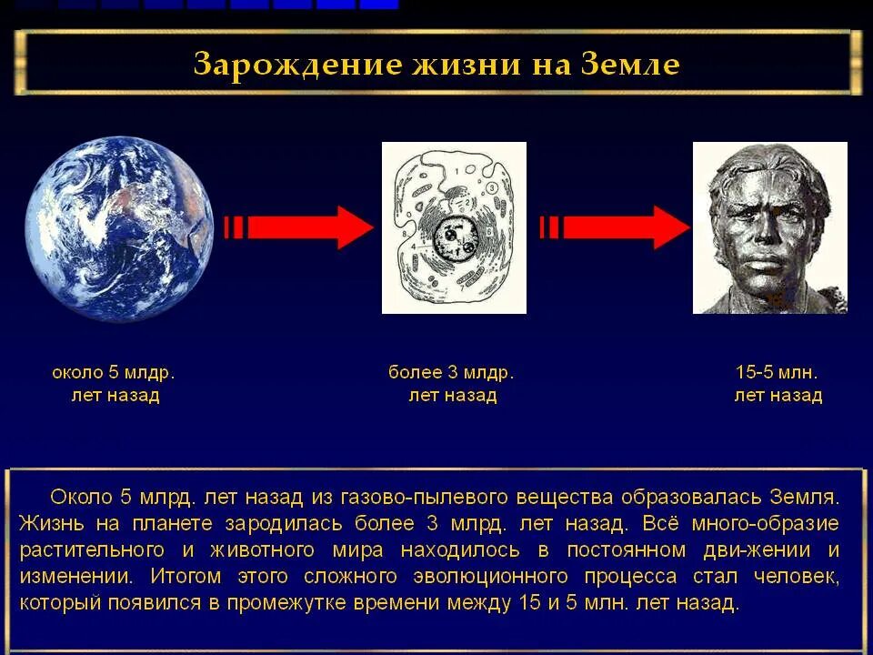 Сколько лет жизни на планете