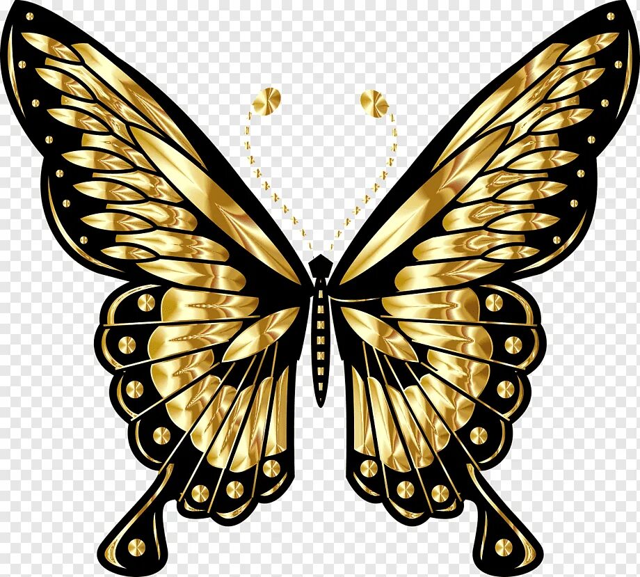 Золотая бабочка. Бабочки золотые картинки для печати. Gold Butterfly PNG.